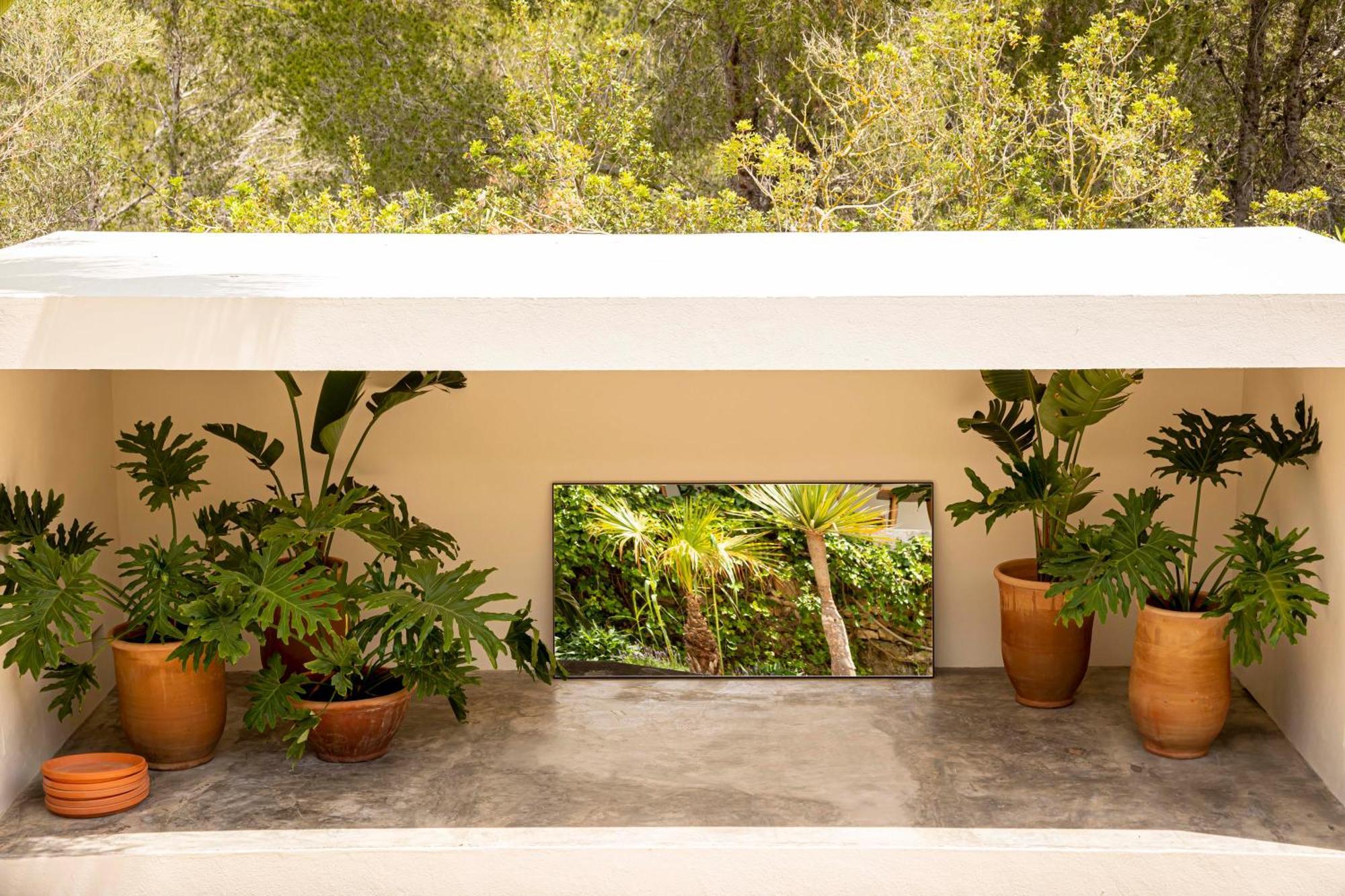 Boutique Hotel Jardines De Palerm San José المظهر الخارجي الصورة