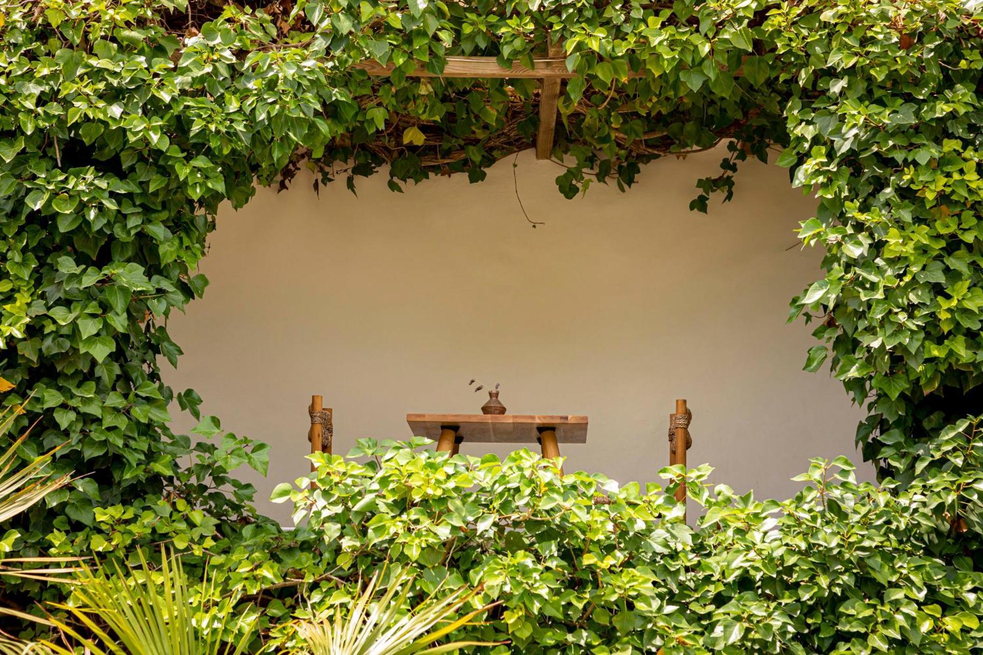 Boutique Hotel Jardines De Palerm San José المظهر الخارجي الصورة